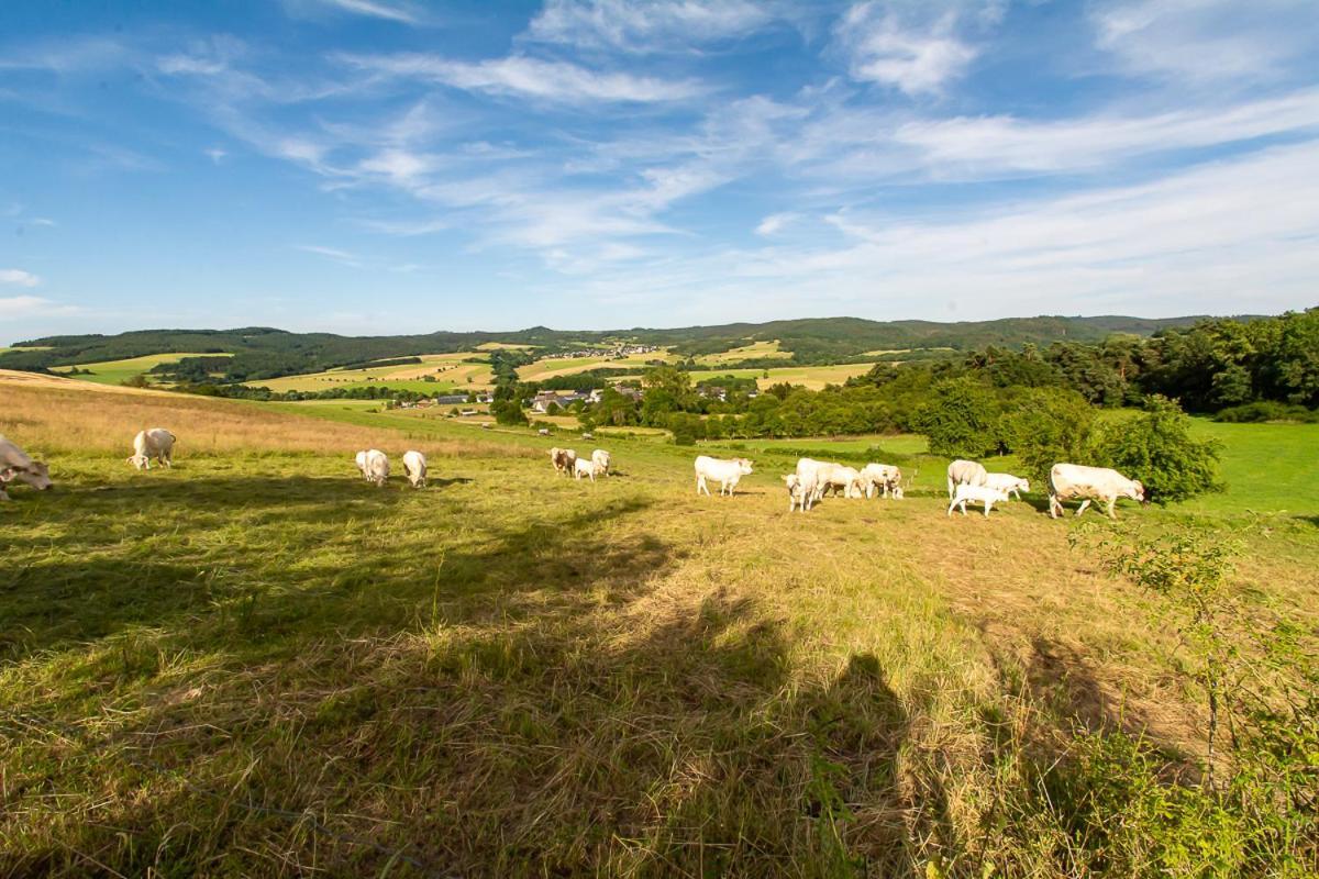 Ferienwohnung Biohof Mindermann Kelberg Esterno foto
